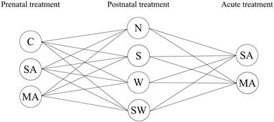 Perinatal Stress and Methamphetamine Exposure Decreases Anxiety-Like Behavior in Adult Male Rats